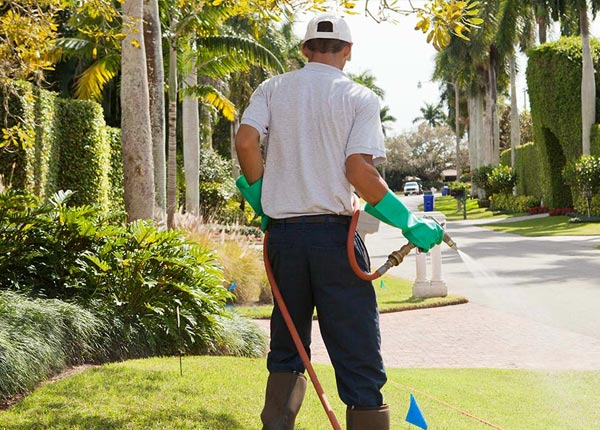 About Lackawaxen PA Pest Control